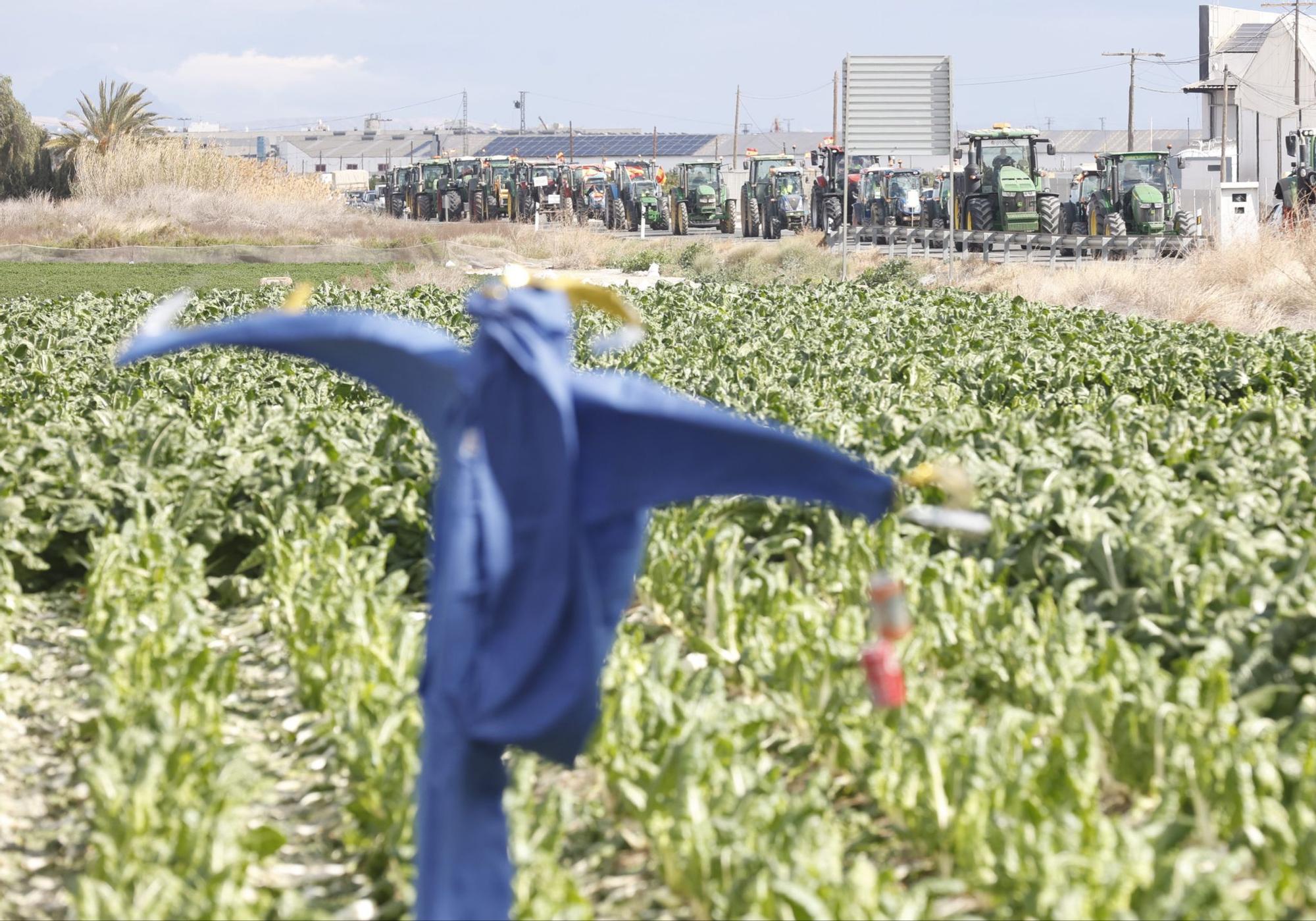 Los agricultores se concentran en tres comarcas de la provincia de Alicante en una tractorada por carreteras secundarias