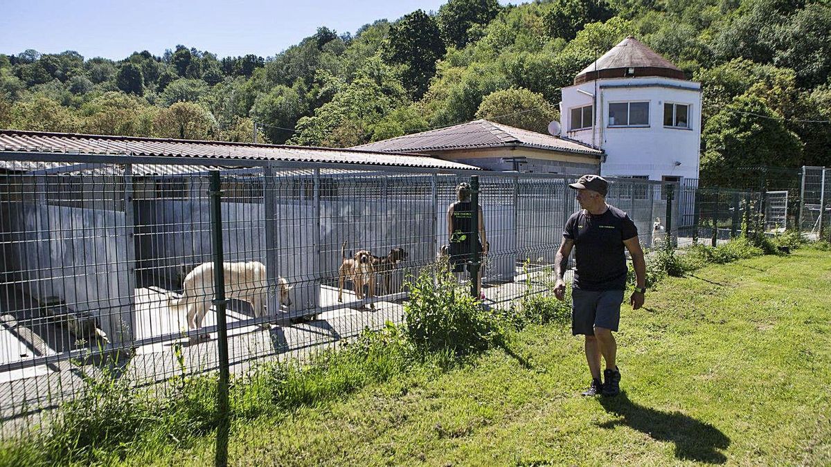 El albergue de animales de Langreo, con sus responsables, esta primavera. | Fernando Rodrguez