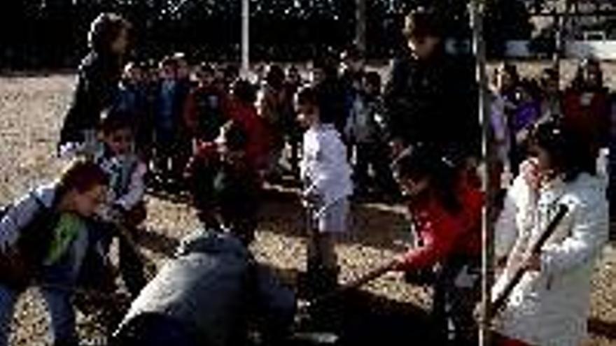 900 niños participan en el día escolar del árbol
