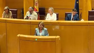 Camarero exhibe su rechazo a la Ley de Vivienda y plantea medidas contra la okupación