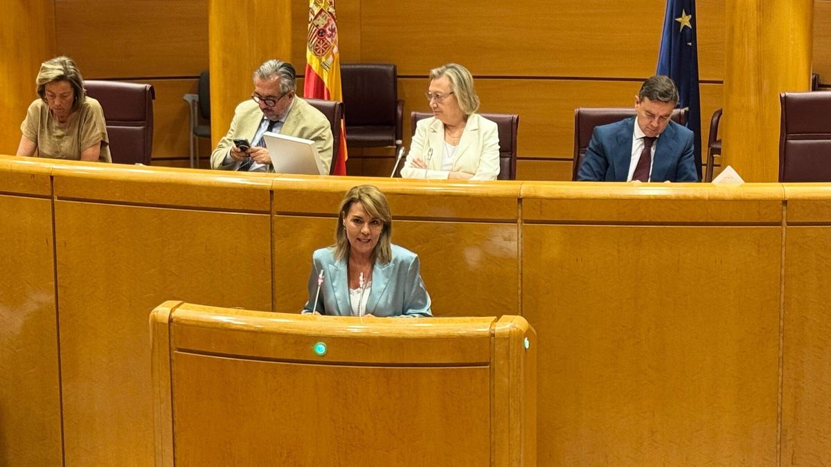 La vicepresidenta y consellera de Vivienda Susana Camarero en su comparecencia en el Senado.