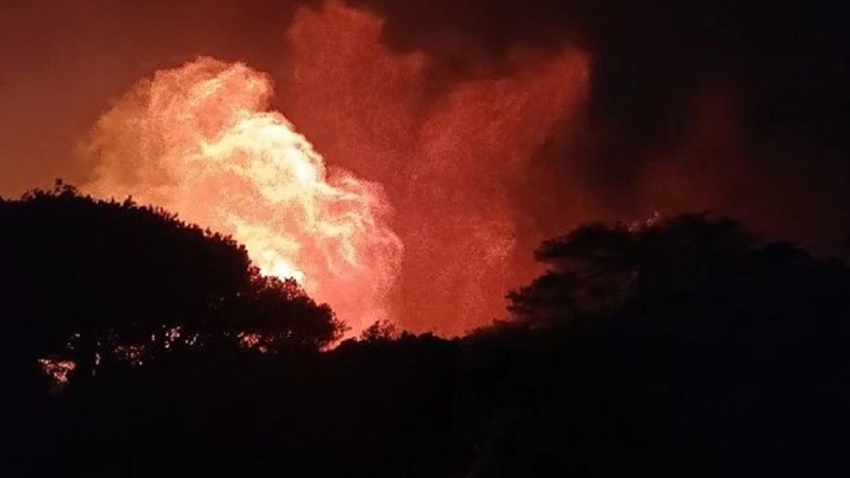 Una imagen del incendio declarado en Tarifa (Cádiz).