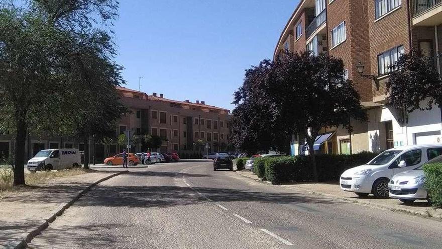 Avenida Antona García de Toro en la que el próximo año se acometerán diversas mejoras.