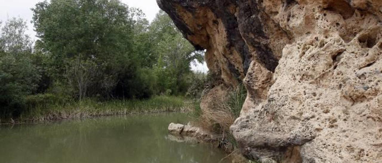 Los regantes rescatan antiguos derechos de agua contra sequías