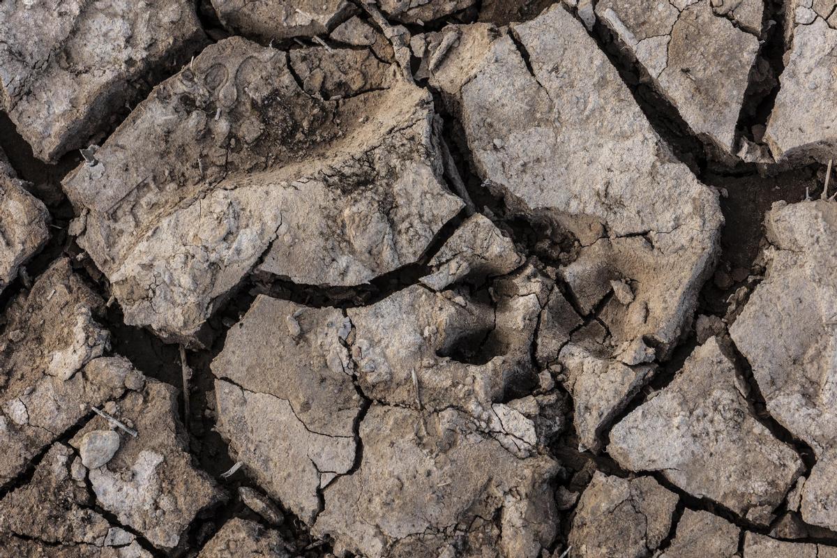 Un milió de metres cúbics d’aigua regenerada per lluitar contra la sequera