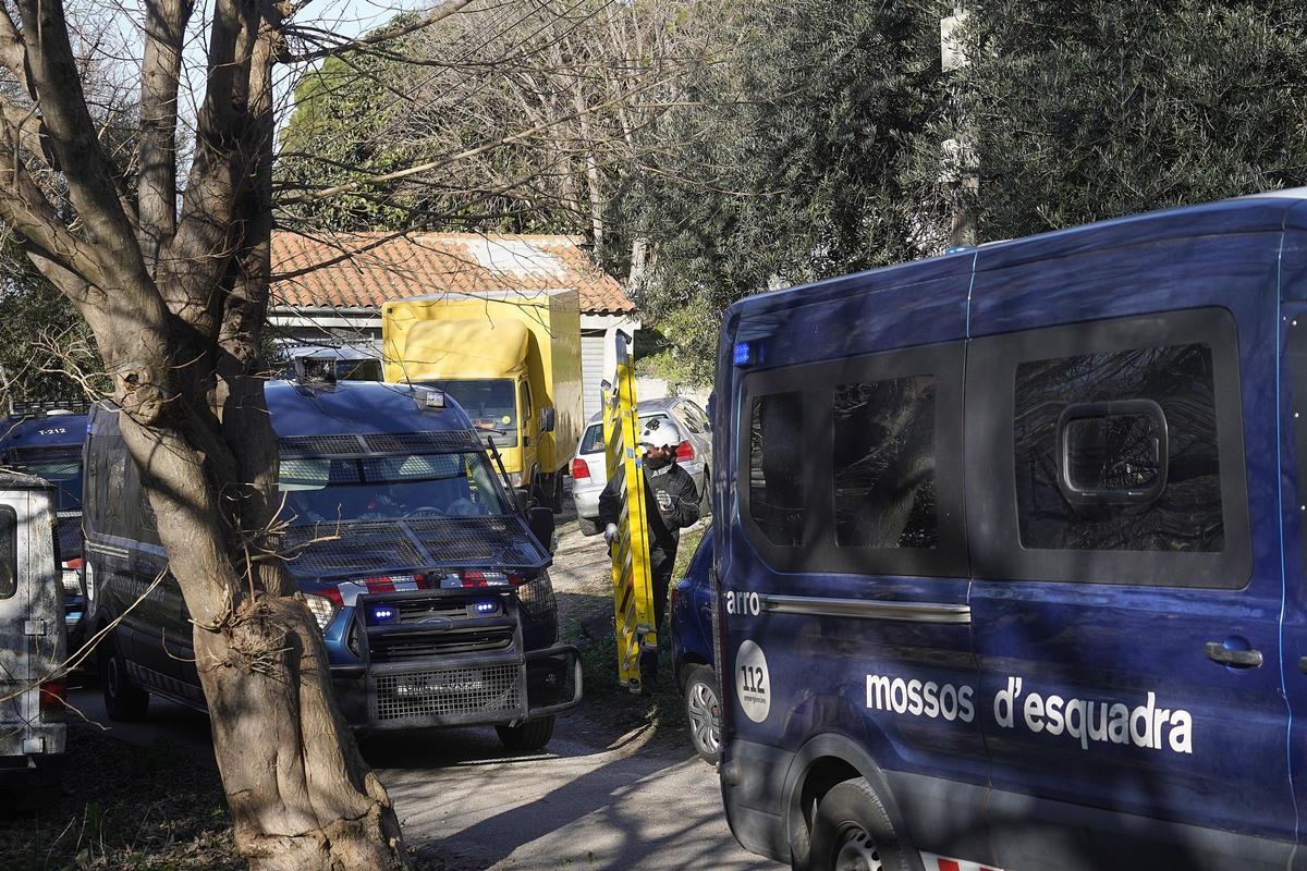 Les fotos del dispositiu policial al barri de Torre Gironella per cultiu il·legal de marihuana
