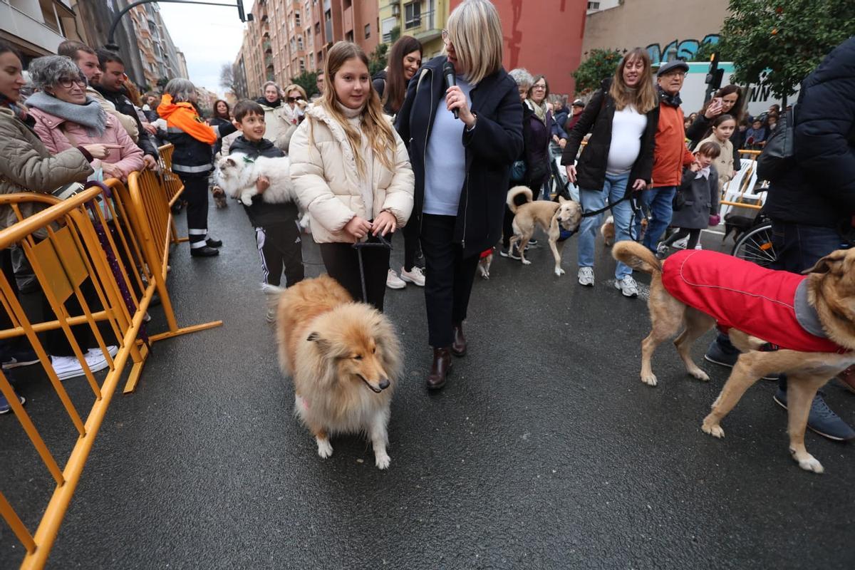 Bendición de animales por Sant Antoni en la calle Sagunt de València