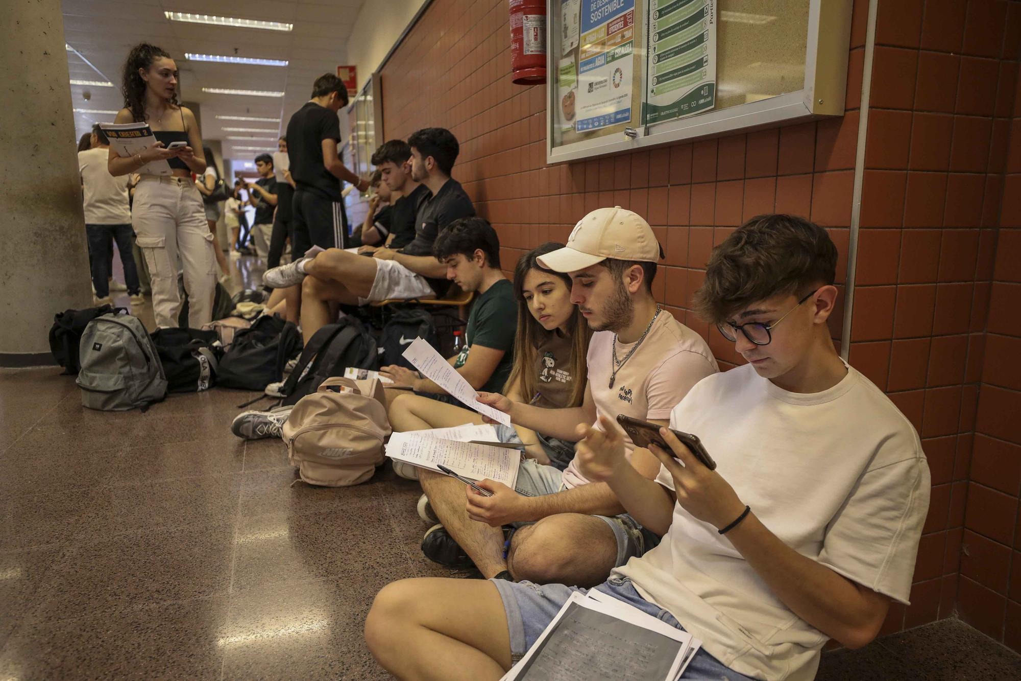 Nervios y repasos de ultima hora en la Selectividad en la UMH de Elche