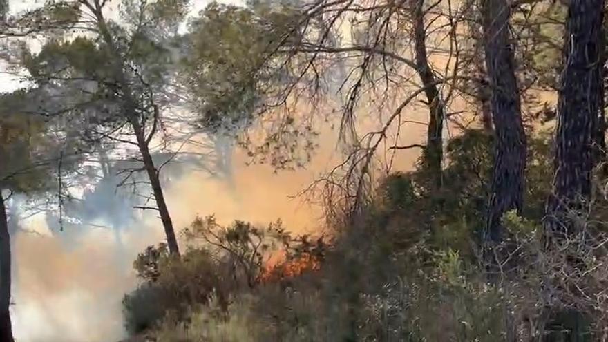 Un incendio forestal obliga a desalojar una casa en Ibiza