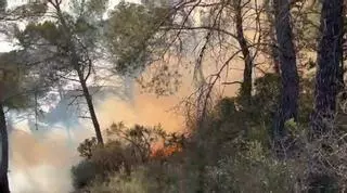 Más de 24 horas para extinguir el primer incendio forestal de Ibiza de la temporada de alto riesgo
