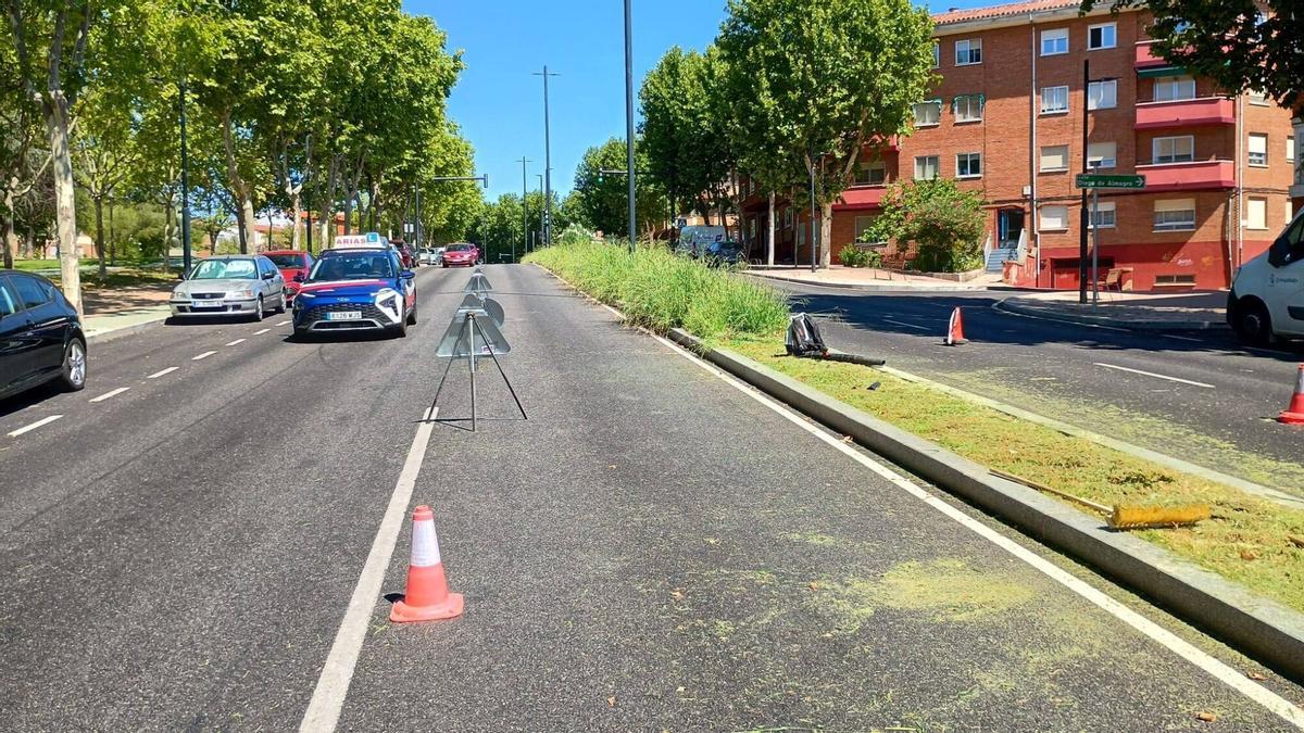 Zonas verdes en las travesías de Zamora.