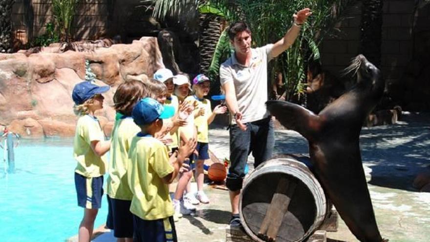 Nueva campaña escolar en el Río Safari