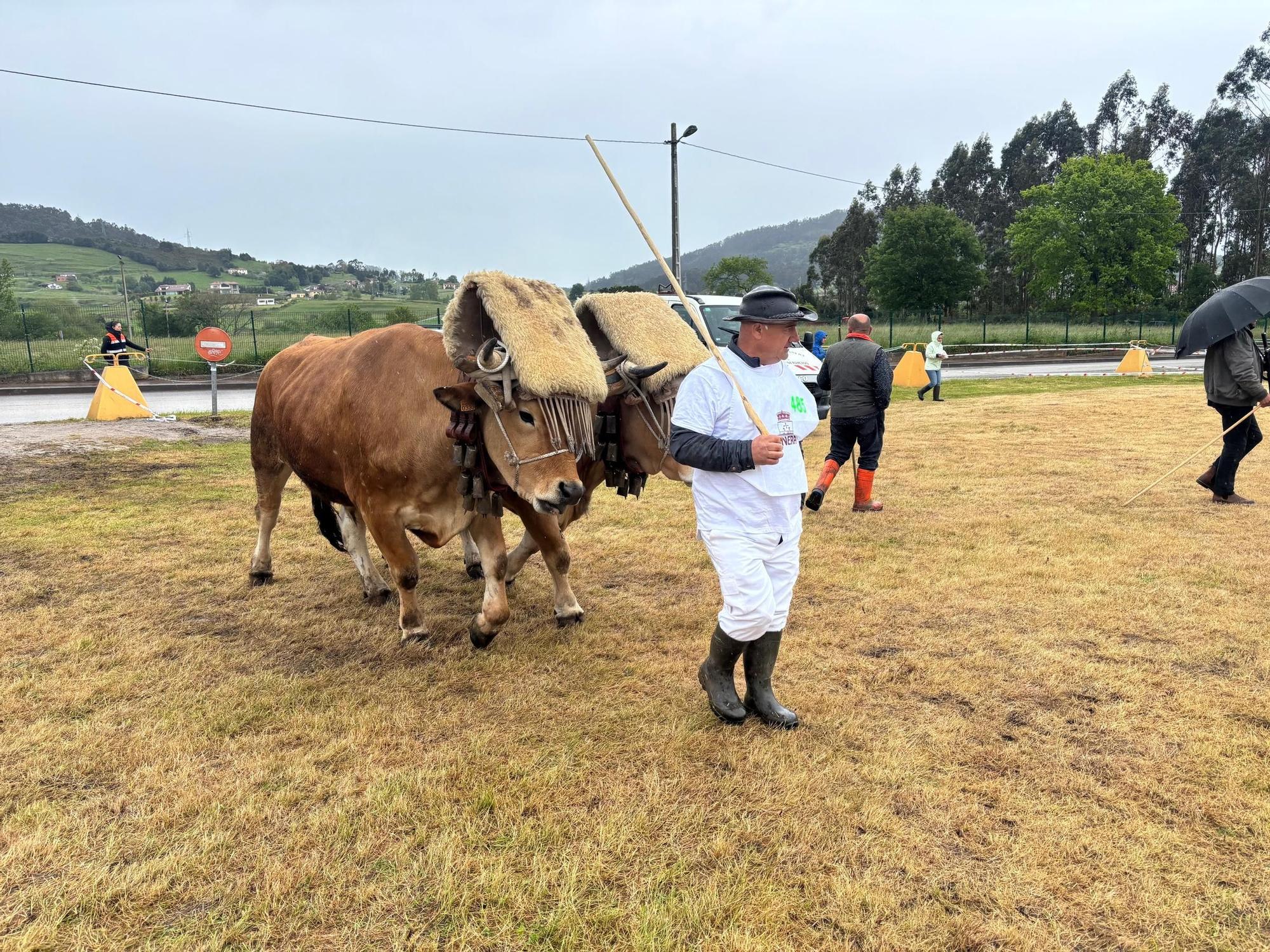 EN IMÁGENES: El domingo de San Isidro en Llanera