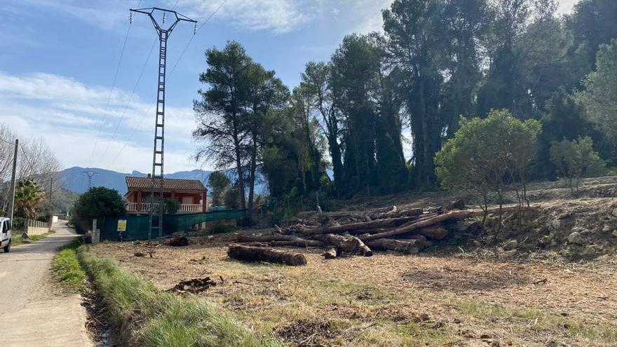 Simat se prepara para el verano y crea franjas de seguridad en zonas forestales