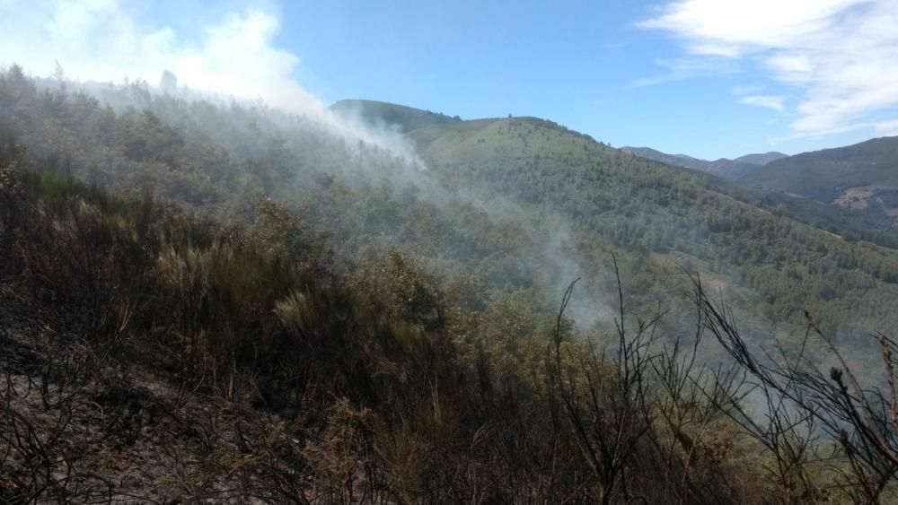 Incendio en Cangas de Narcea