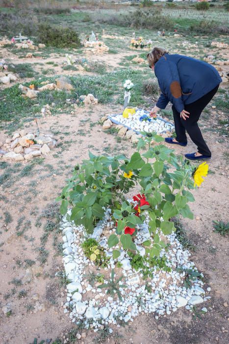 Junto al parque de Lo Albentosa de Torrevieja se extienden fosas y lápidas en una práctica no regulada