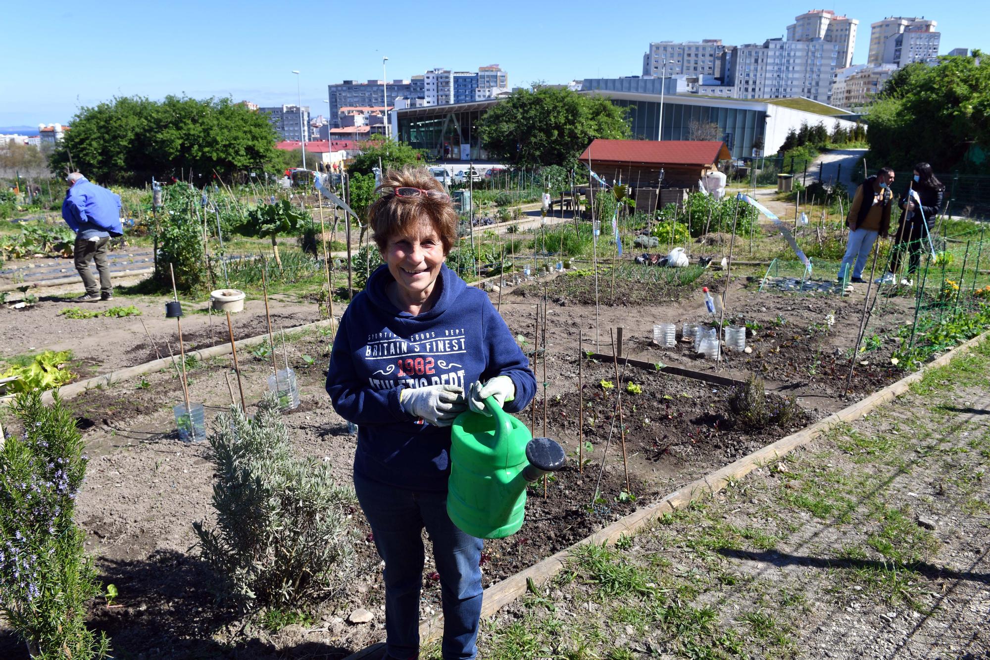 Huertos urbanos de A Coruña, un ocio saludable