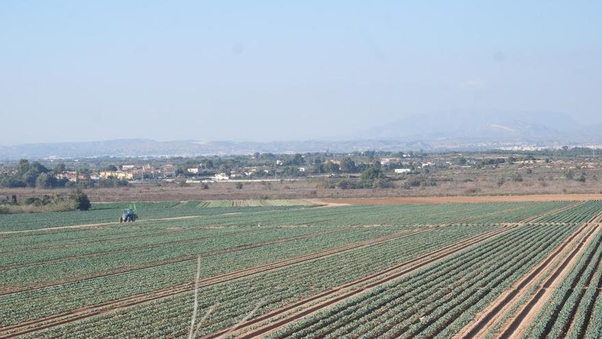 Elche ya tiene luz verde para diez plantas solares que ocupan 426 campos de fútbol