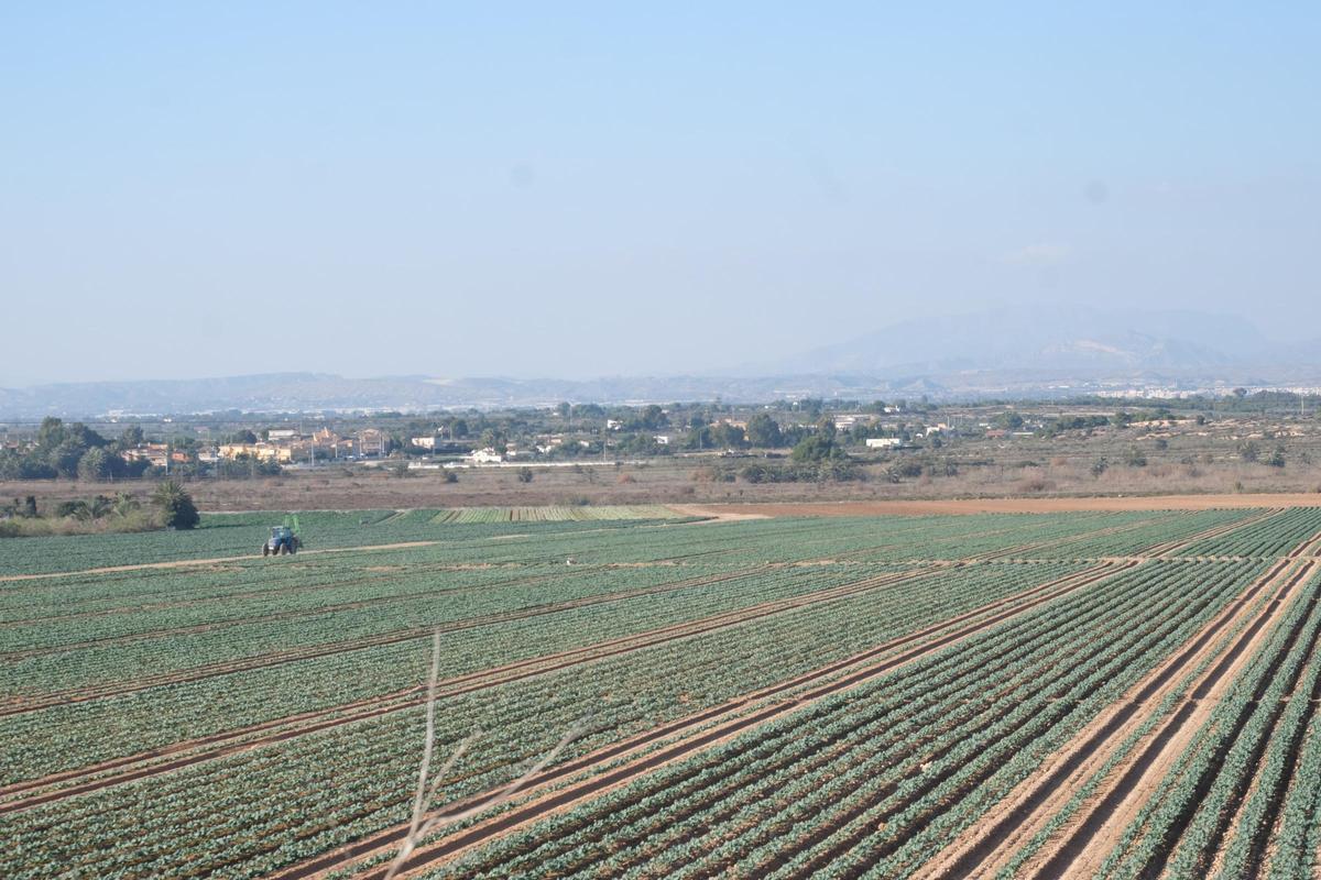 Terrenos donde hay proyectada una planta solar, con un tractor trabajando al fondo.