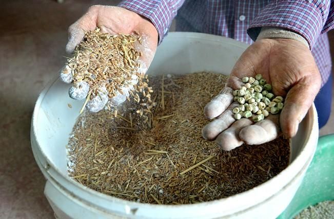 Pepe Guedes, agricultor orgánico