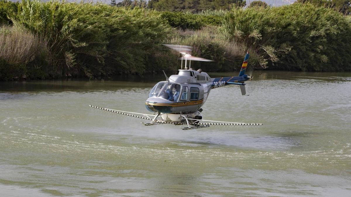 El tratamiento aéreo sobre el Xúquer se adelantó este verano.