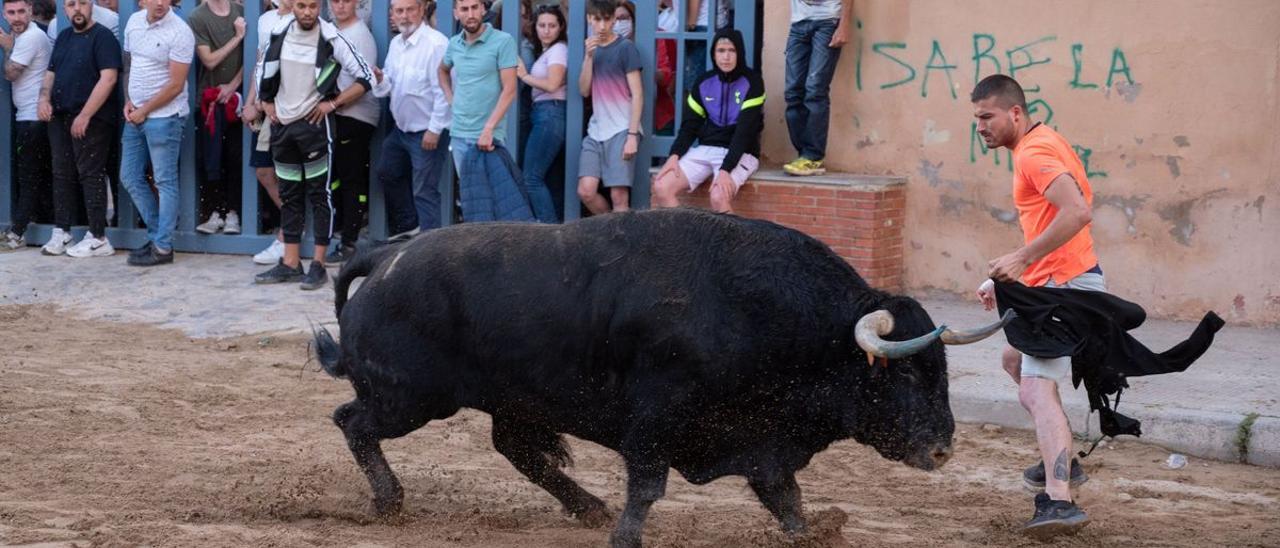 Las aseguradoras ponen cada vez más trabas para asumir más gastos en cogidas más allá de lo que marca la normativa.