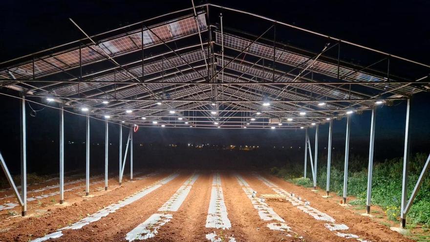 Voltagro avanza a la fase de campo con la ejecución de la estructura agrovoltaica