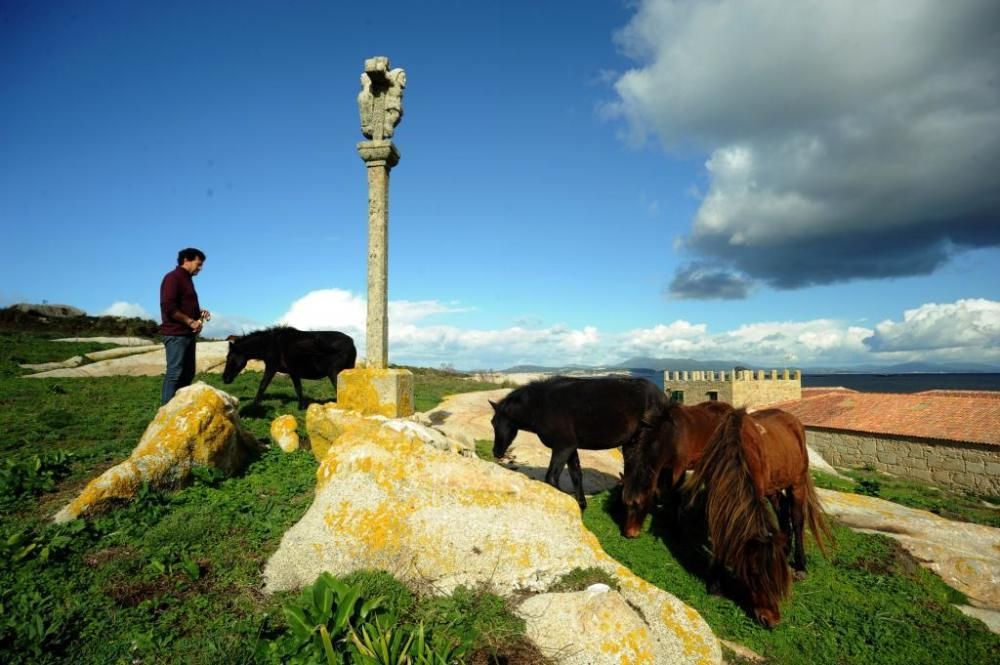 Sálvora, un paraíso de interés cultural