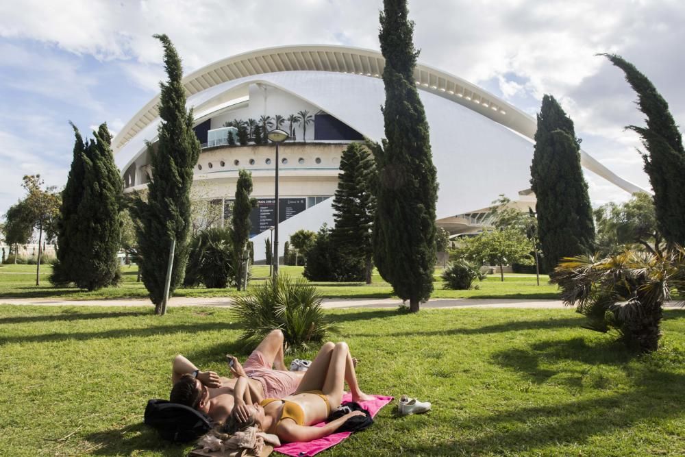 Las mejores imágenes de los fotoperiodistas de Levante-EMV por el Día de la Fotografía