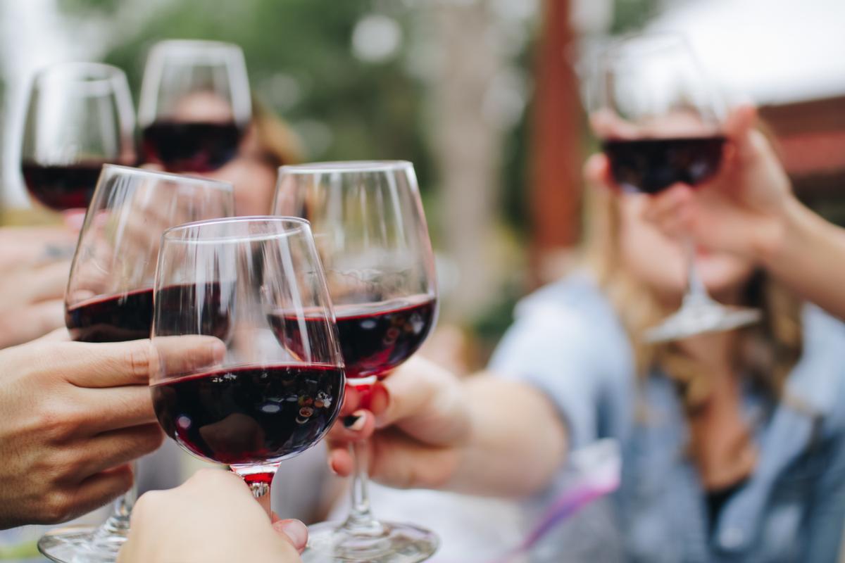 Un grupo de personas brindan con copas de vino.