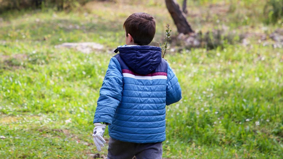 Los niños y las niñas de Torrent plantarán árboles este próximo viernes para poner en valor los espacios verdes de la ciudad.