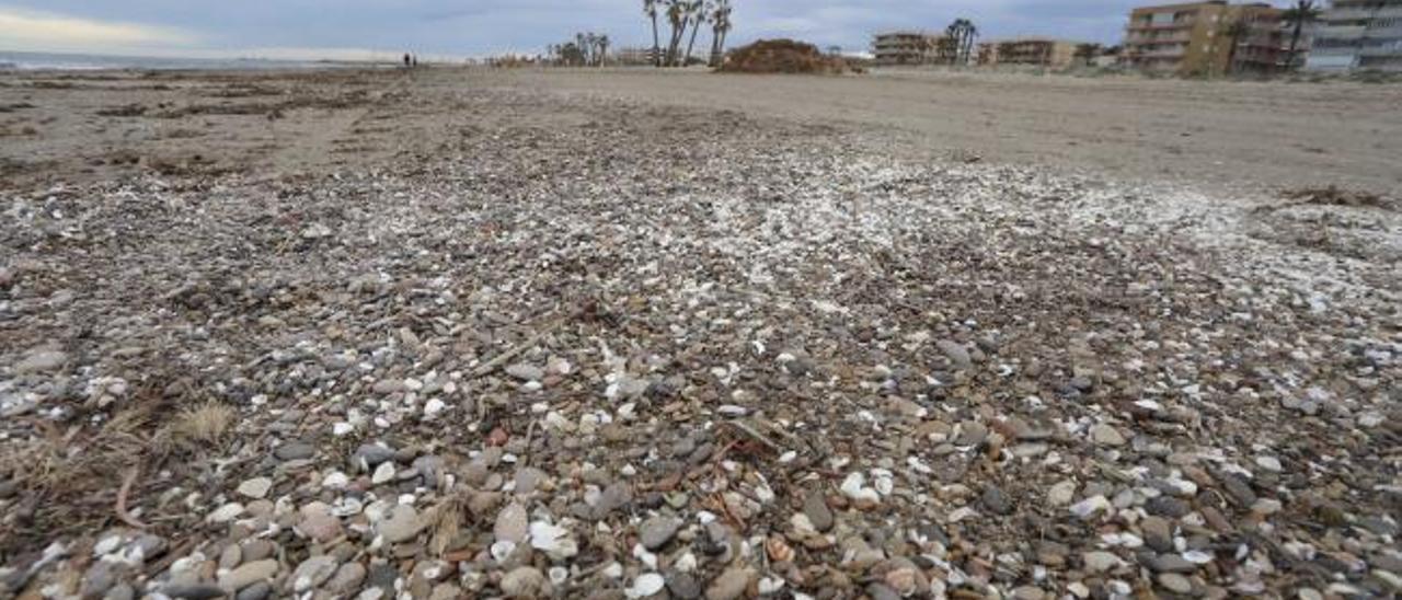 Las piedras llegan a la playa de Canet d'En Berenguer