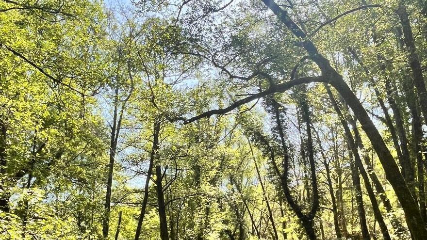 Sesión de salud, bienestar y vida natural