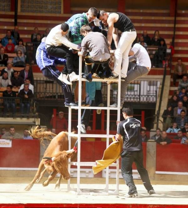 Vaquillas y rejones en la Feria San Jorge