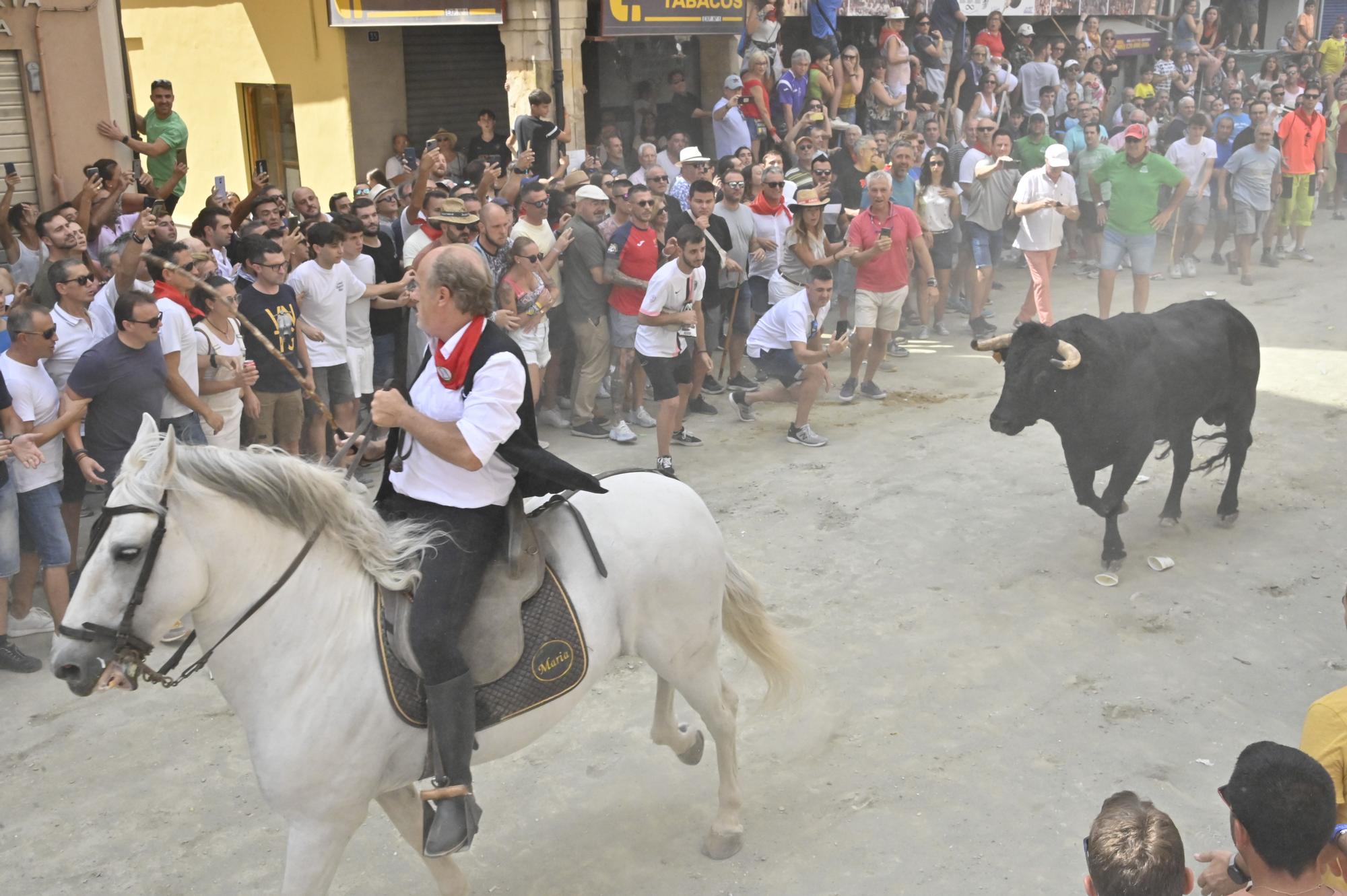 Todas las fotos de la cuarta Entrada de Toros y Caballos de Segorbe