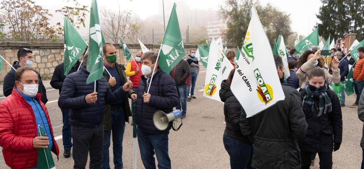 Participantes en la concentración celebrada ayer en Zamora. | José Luis Fernández