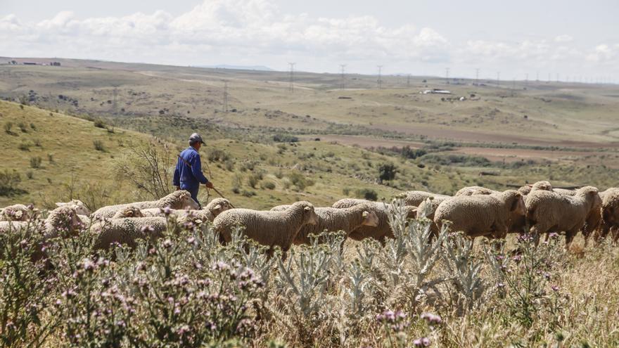 El campo reclama más ayudas directas y urgentes frente a los efectos de la sequía