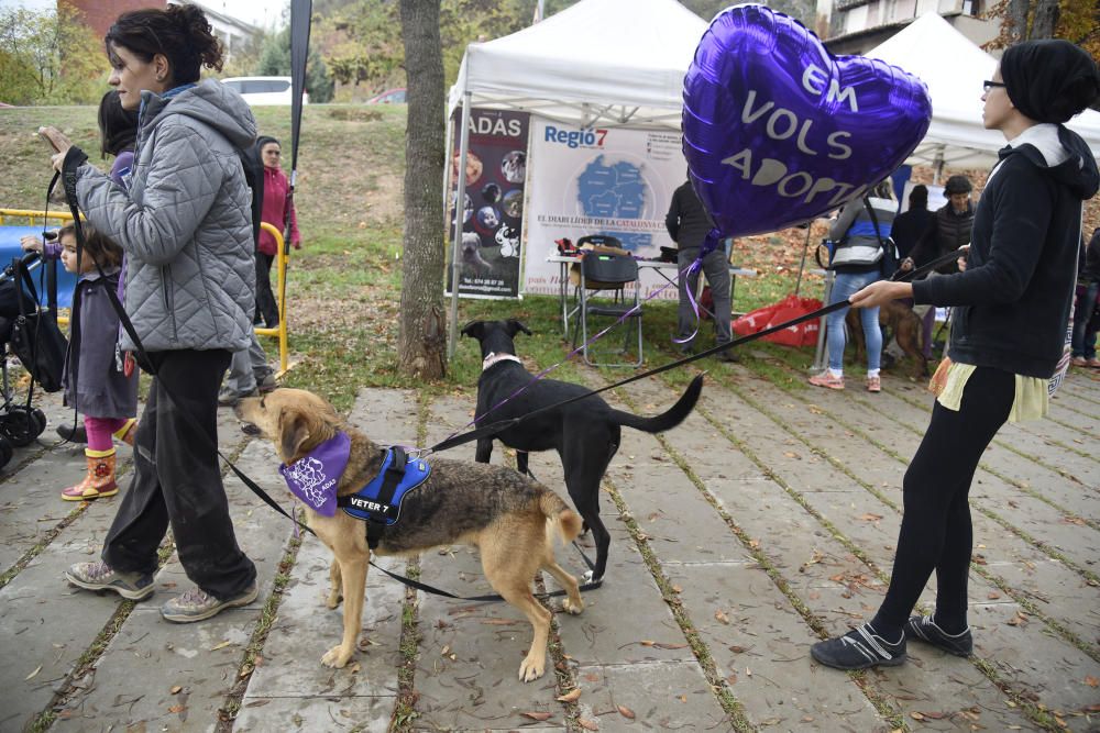 Caminada solidària de Regió7 a Solsona