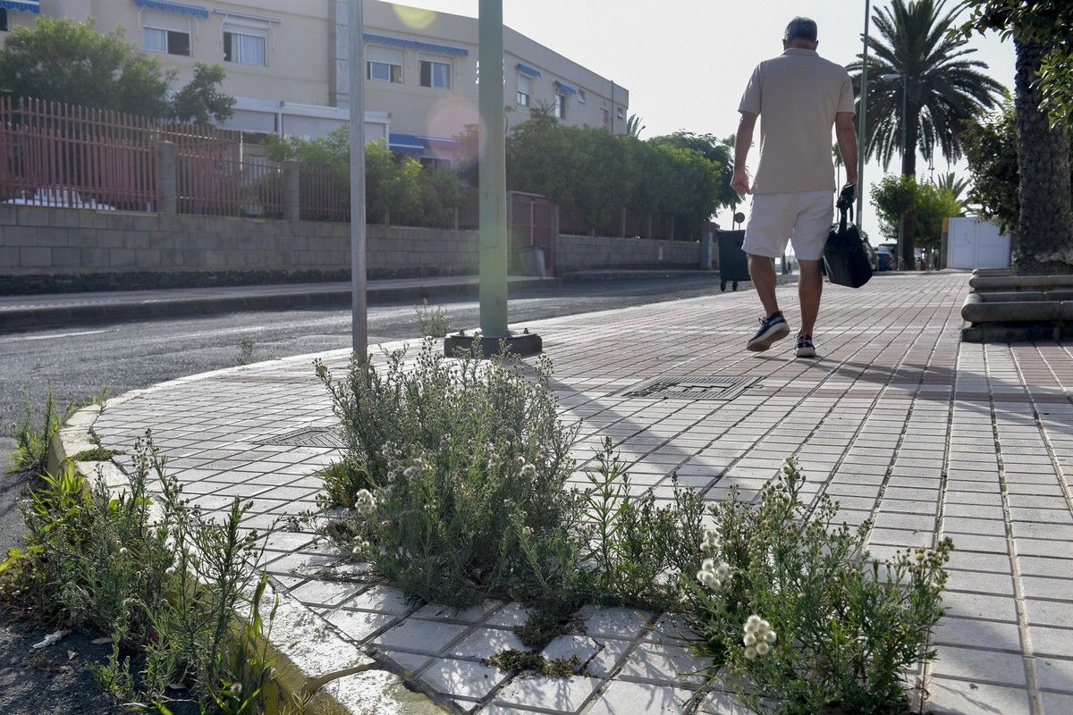 Hierbas en aceras de las calles de Escaleritas