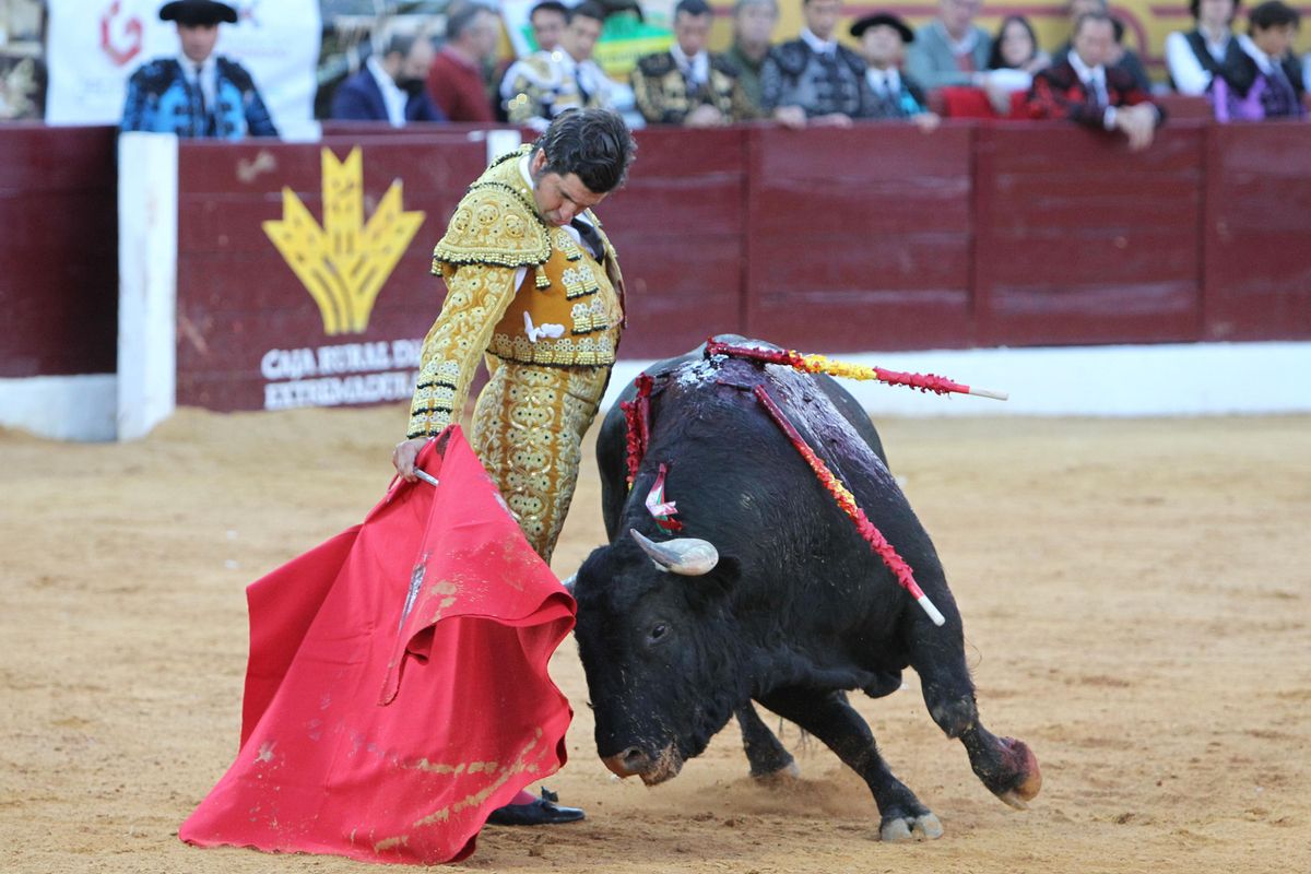 Morante de la Puebla, este domingo en Olivenza.