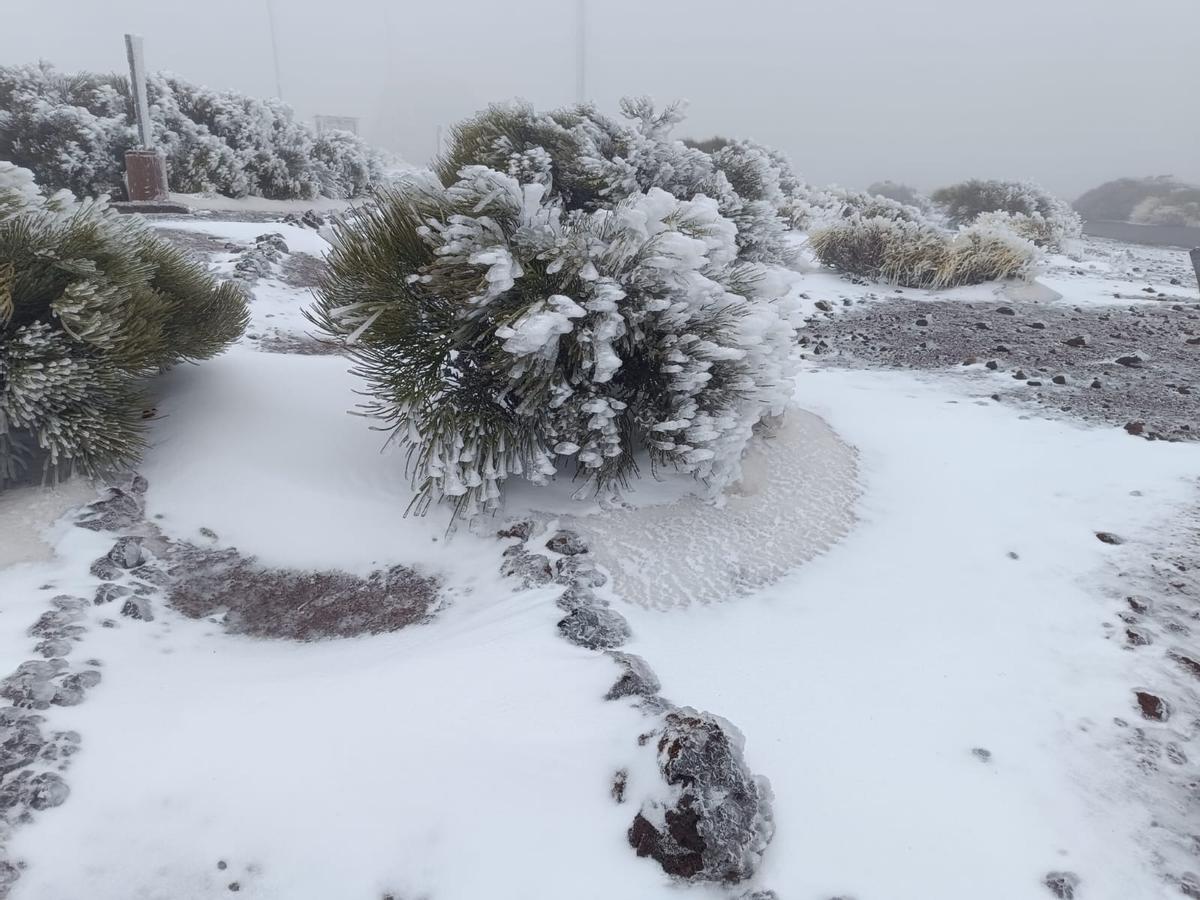 Nieve en Izaña