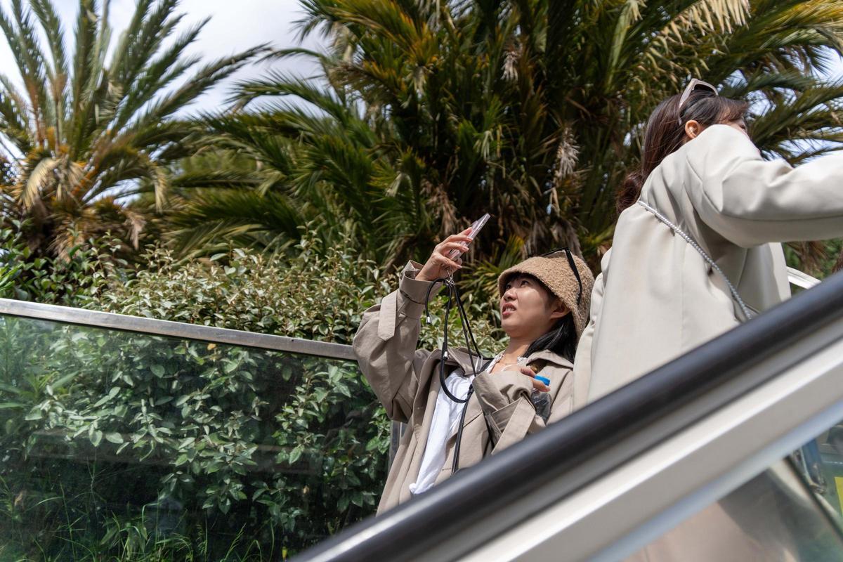 Las escaleras mecánicas de salida de la estación de metro Sagrada Familia de Barcelona se han hecho virales, hasta el punto de que la autoridad de transportes barcelonesa ha tenido que colocar carteles advirt