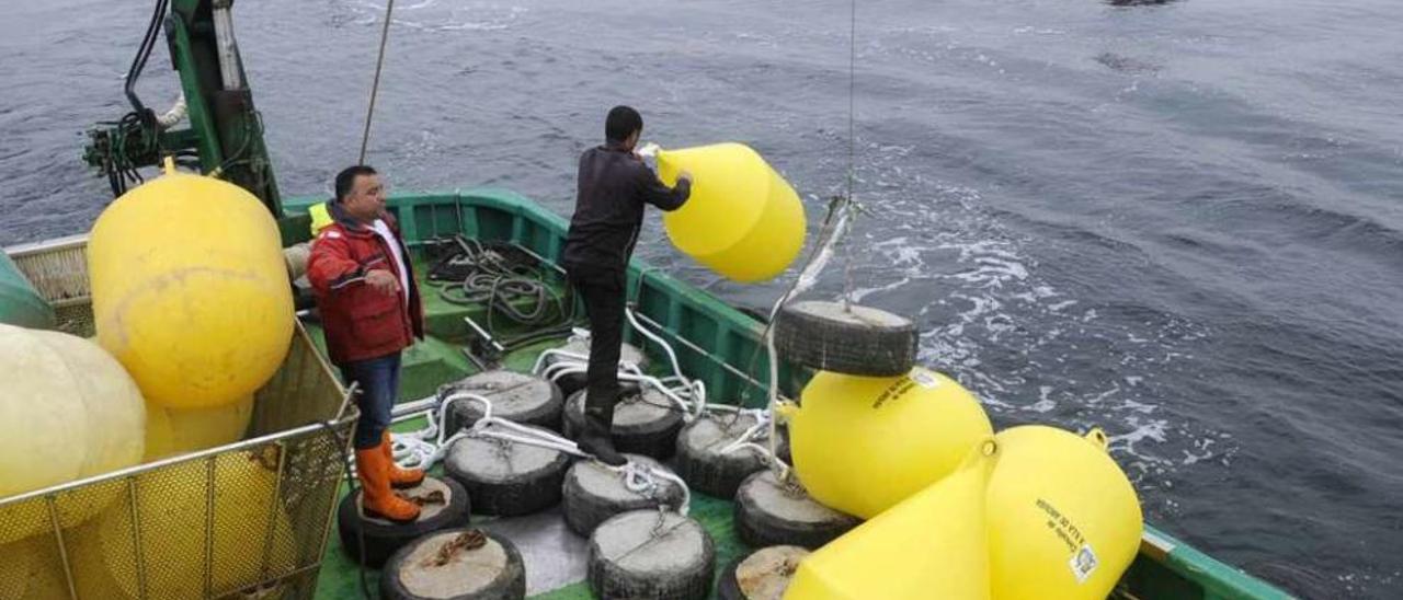 Colocación de las boyas de protección en el islote Areoso el pasado mes de junio. // Noé Parga