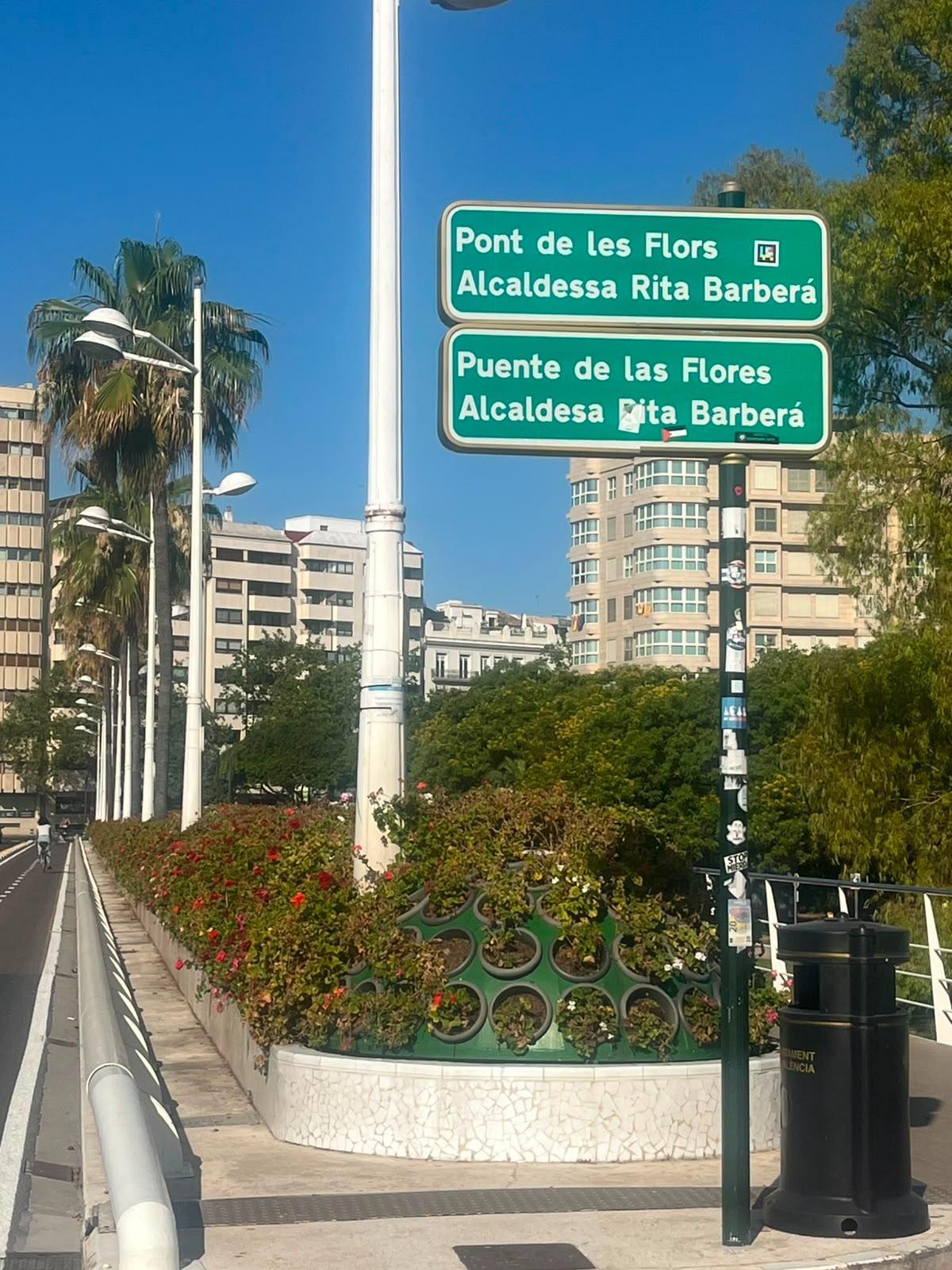 El puente de las Flores-Rita Barberá con las plantas en mal estado