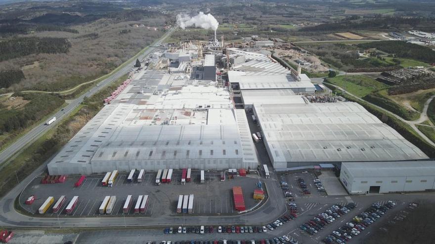Finsa cierra 2025 con ventas por más de 1.200 millones, crea 70 empleos y mantiene su inversión en transformación
