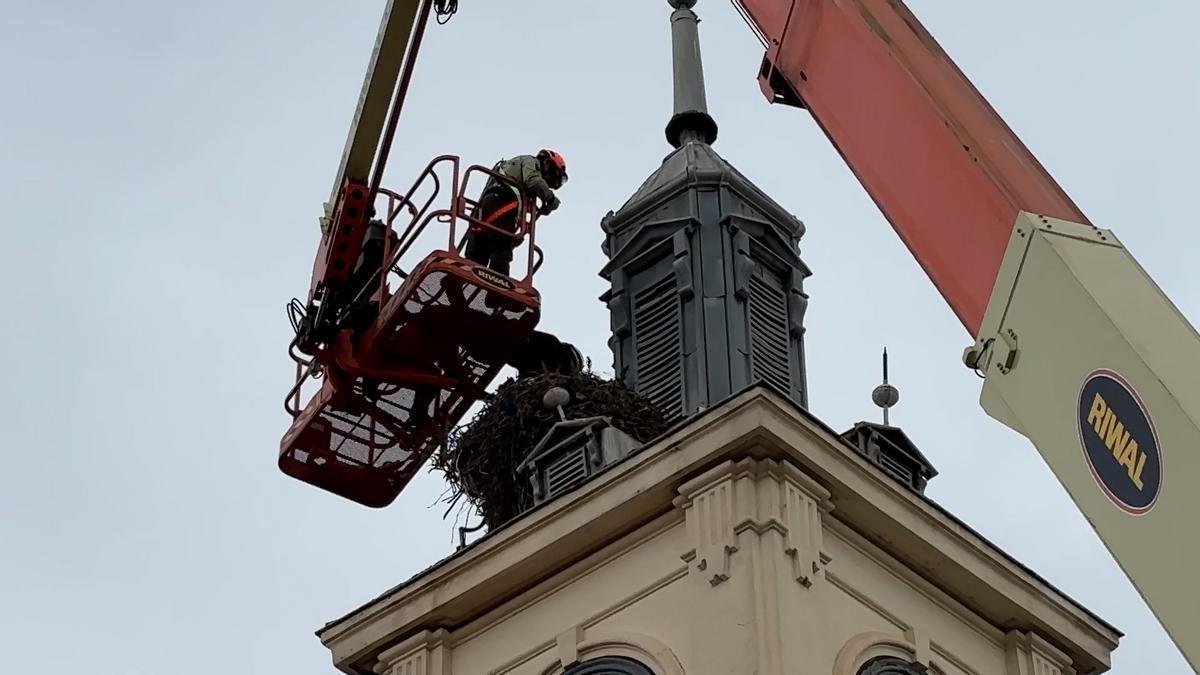 Así fue el increíble rescate de un nido de cigüeña blanca en Alcalá de Henares