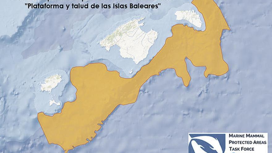 El mar balear, un área importante para los mamíferos marinos