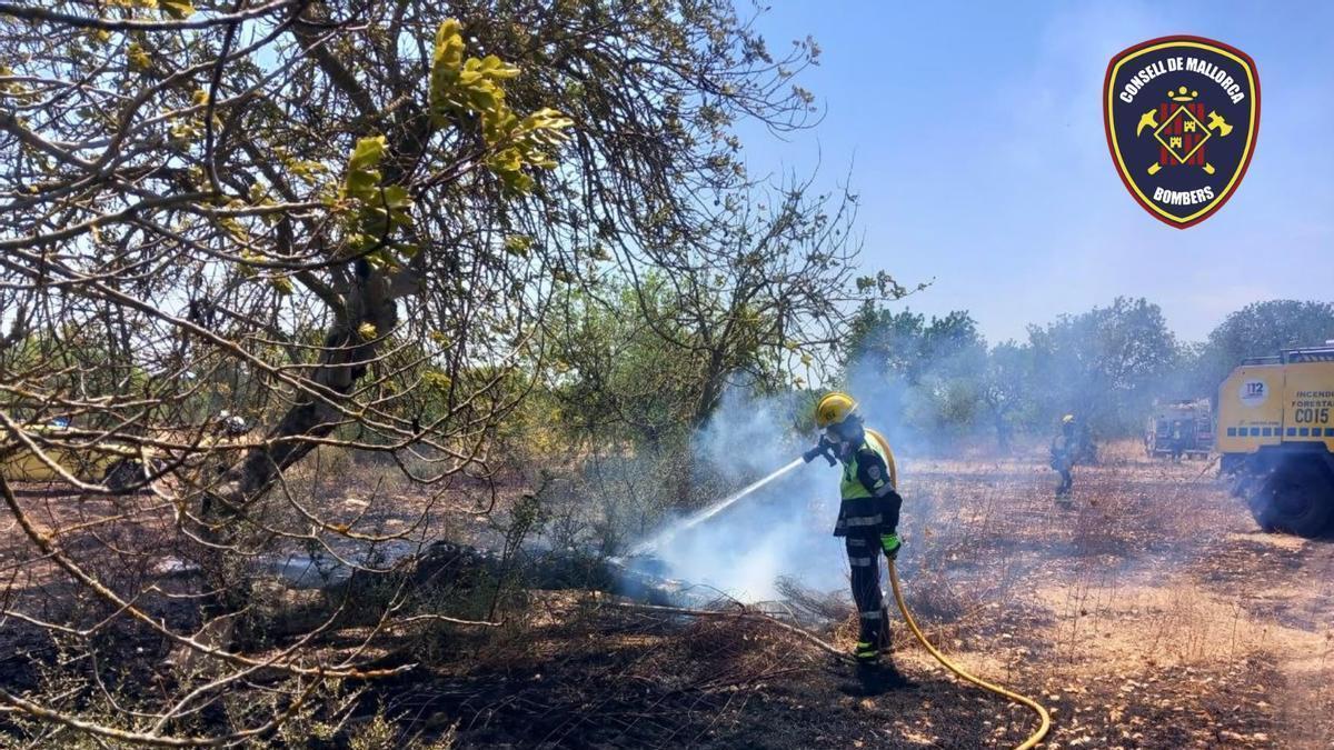 Los bomberos, durante los trabajos de extinción en sa Pobla.