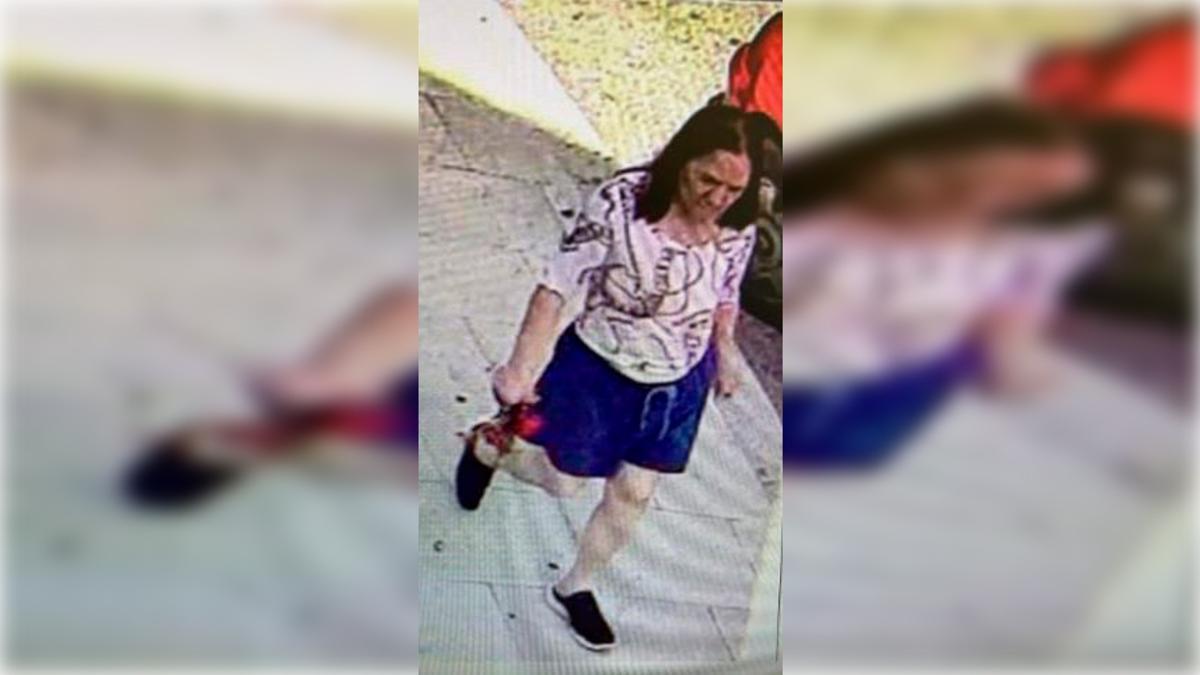 La mujer desaparecida, en la última imagen de ella que se conserva