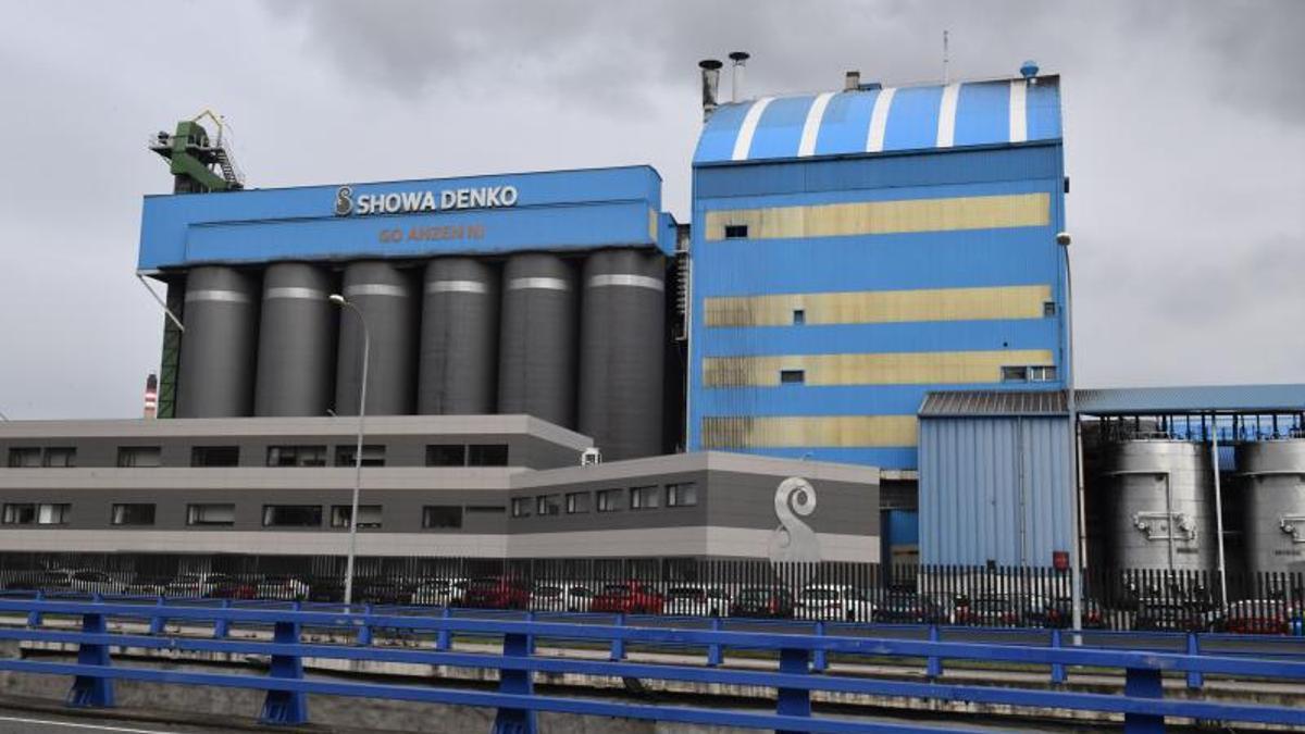 Instalaciones en Agrela de Showa Denko.